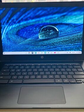 HP Chromebook